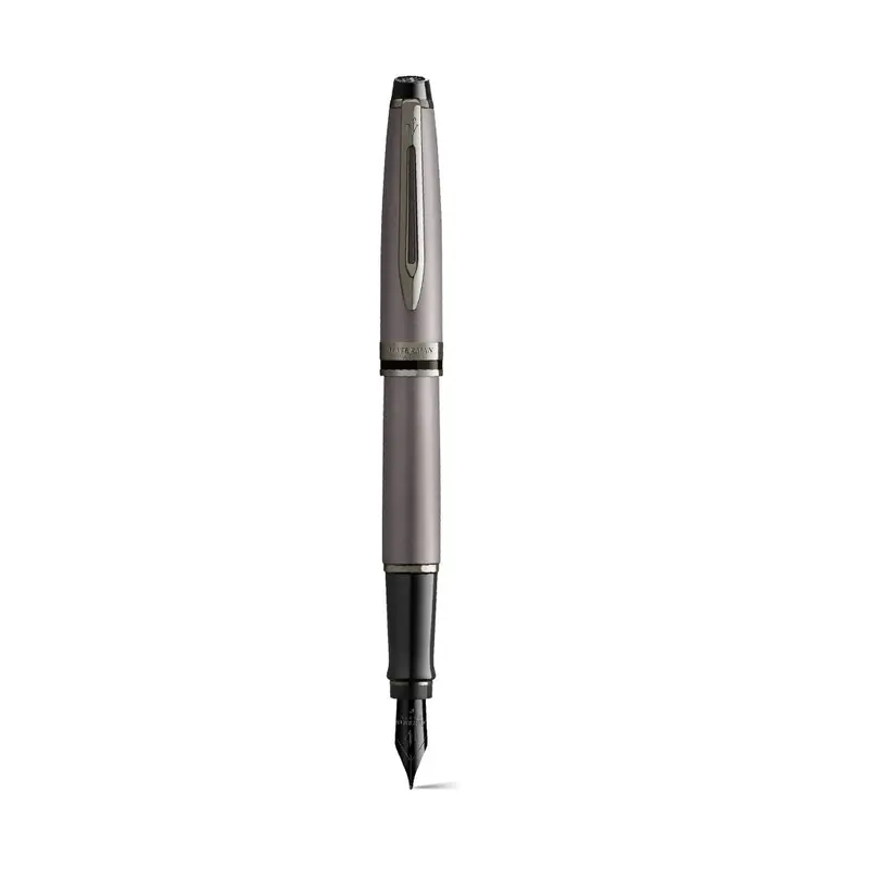 Waterman Expert RT Metallic Fountain Pen