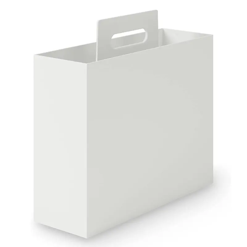 Plus Japan PP Carry Box