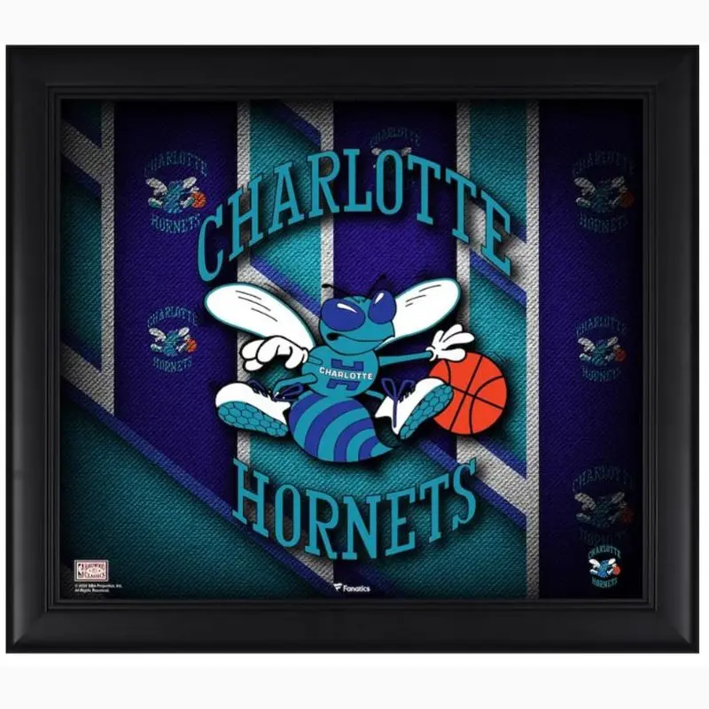 Framed Art: Charlotte Hornets Authentic Framed 15"x17" Threads