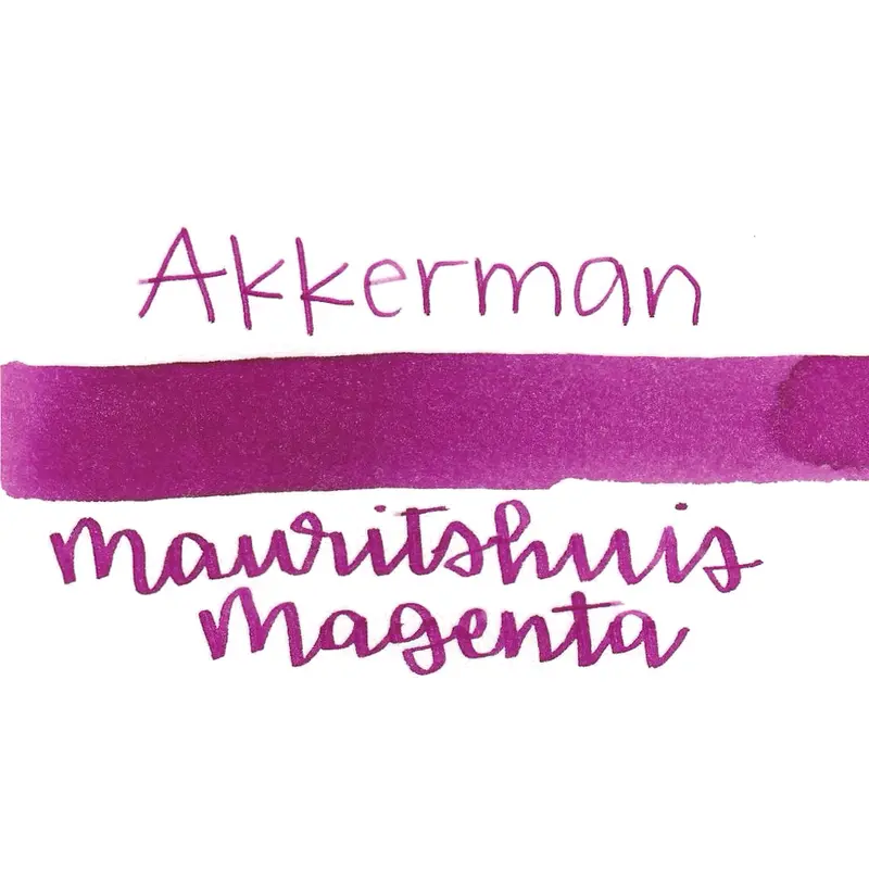 Akkerman 12 Mauritshuis Magenta