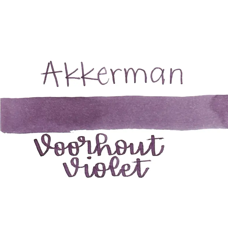 Akkerman 15 Voorhout Violet
