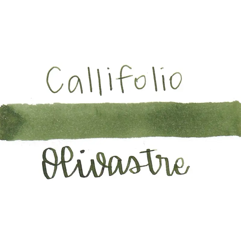 Callifolio Olivastre