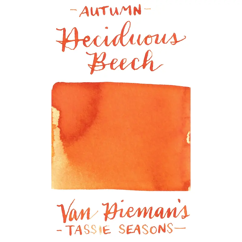 Van Dieman's Tassie Seasons (Autumn)- Deciduous Beech