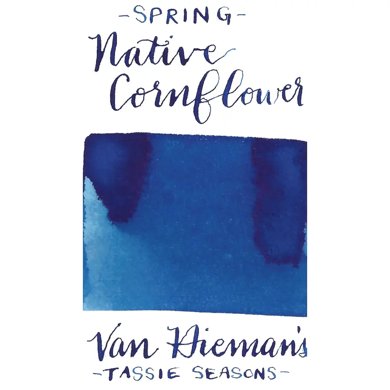 Van Dieman's Tassie Seasons (Spring)- Native Cornflower