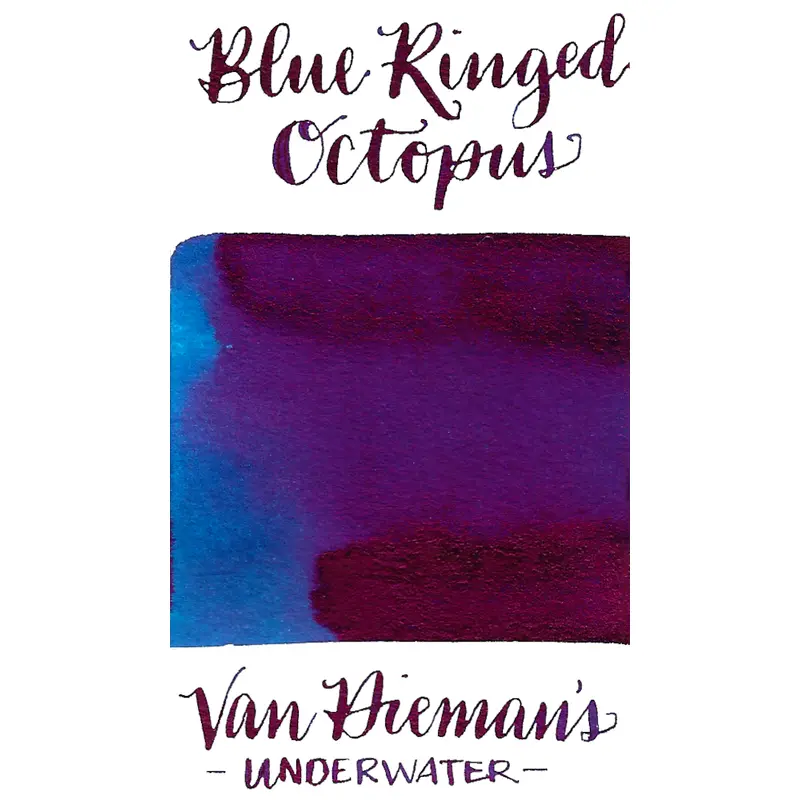 Van Dieman's Underwater Series- Blue Ringed Octopus