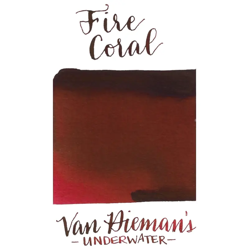 Van Dieman's Underwater Series- Fire Coral
