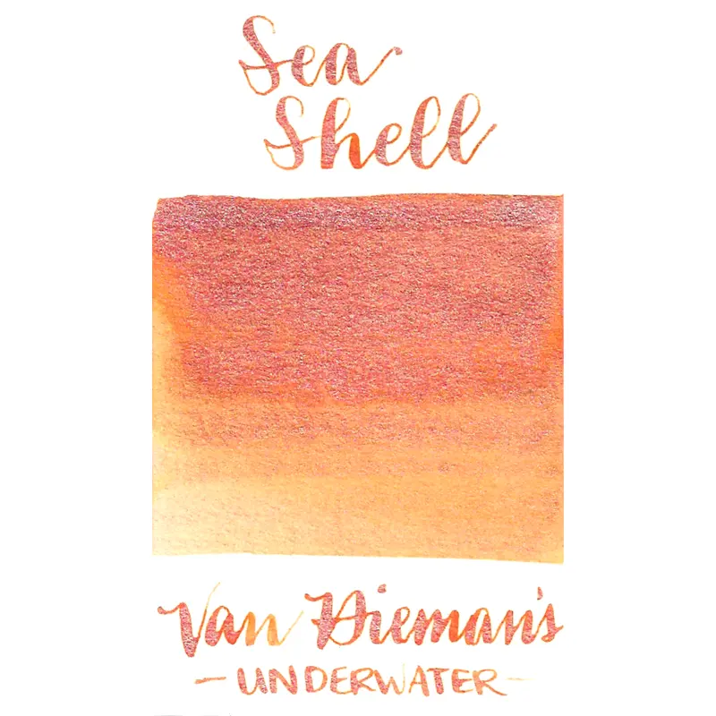 Van Dieman's Underwater Series- Sea Shell Shimmer