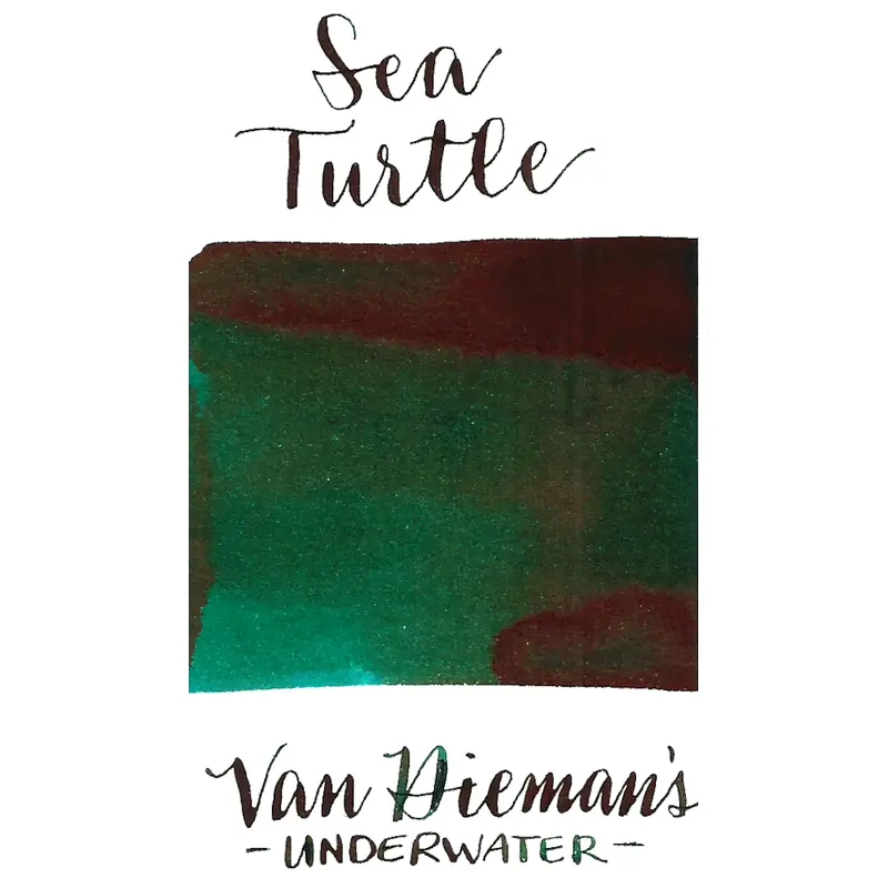 Van Dieman's Underwater Series- Sea Turtle