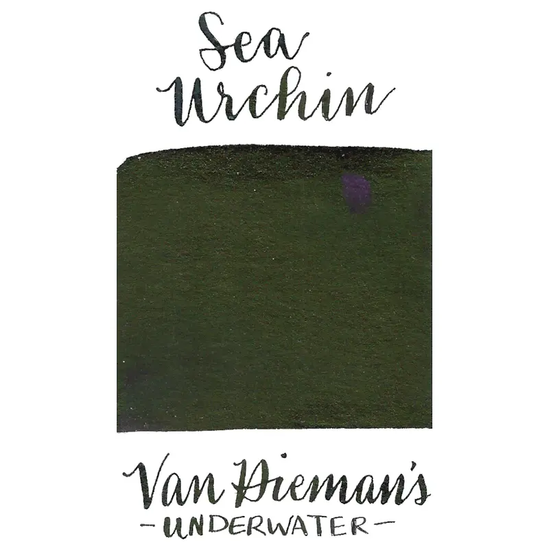 Van Dieman's Underwater Series- Sea Urchin