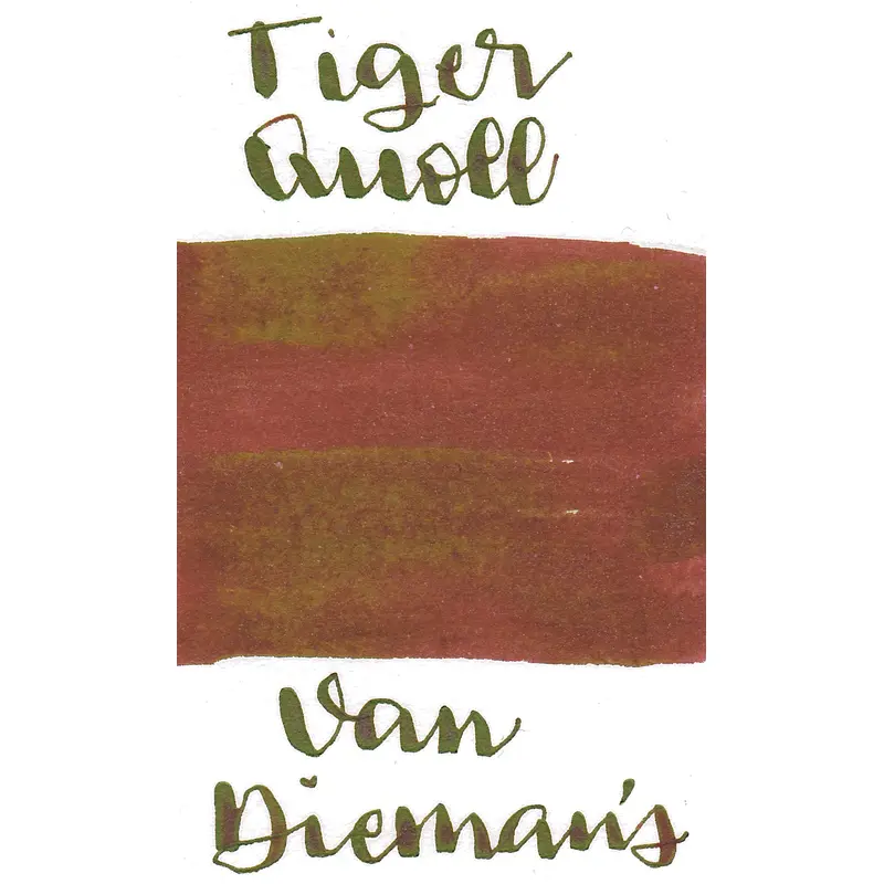 Van Dieman's Night Series- Tiger Quoll Prowl Shimmer