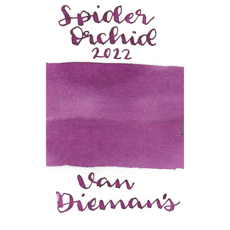 Van Dieman's The Wilderness Series- Black-Tongue Spider Orchid