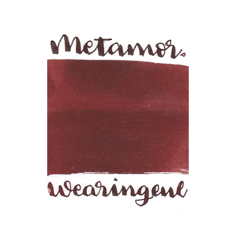 Wearingeul Franz Kafka - Metamorphosis