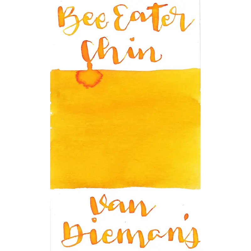 Van Dieman's Birds of a Feather - European Honey Bee Eater Chin