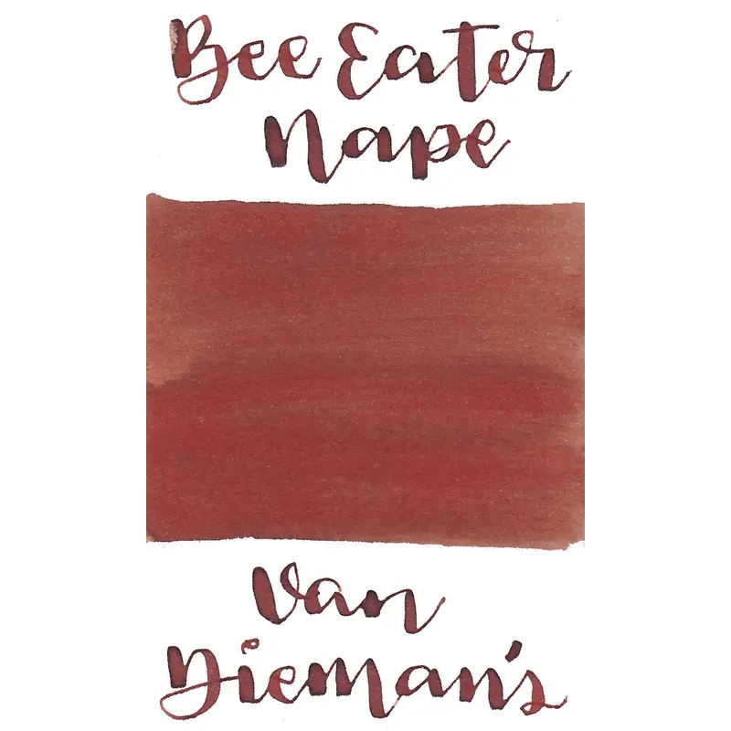 Van Dieman's Birds of a Feather - European Honey Bee Eater Nape