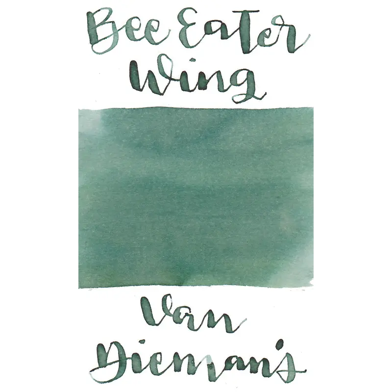 Van Dieman's Birds of a Feather - European Honey Bee Eater Wing