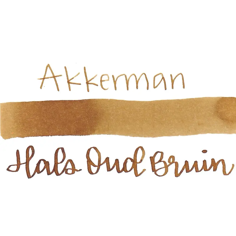 Akkerman Ink Dutch Masters 04 Hals Oud Bruin "Hals' Old Brown"