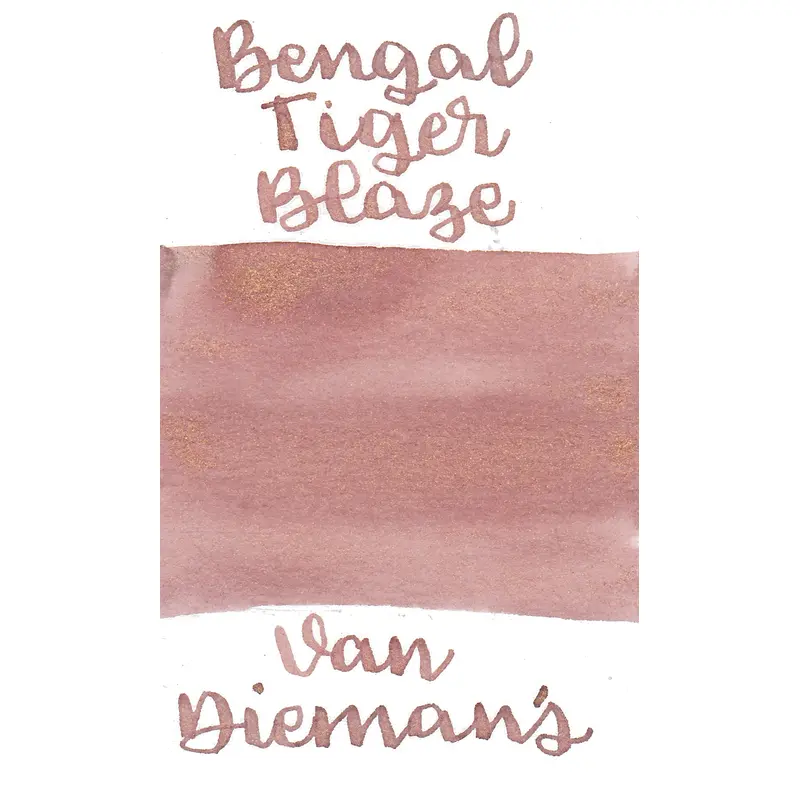 Van Dieman's Feline - Bengal Tiger Shimmering