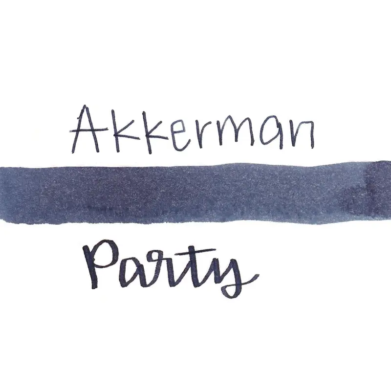 Akkerman Fountain Pen Ink The Hague: Business in the Front Party in the Back