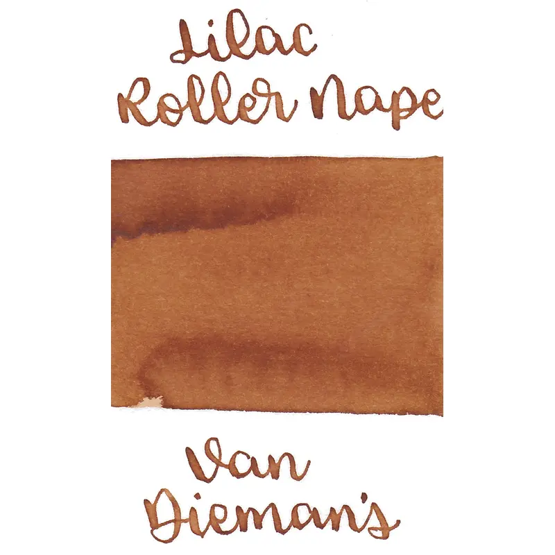 Van Dieman's Birds of a Feather - Lilac Breasted Roller Nape