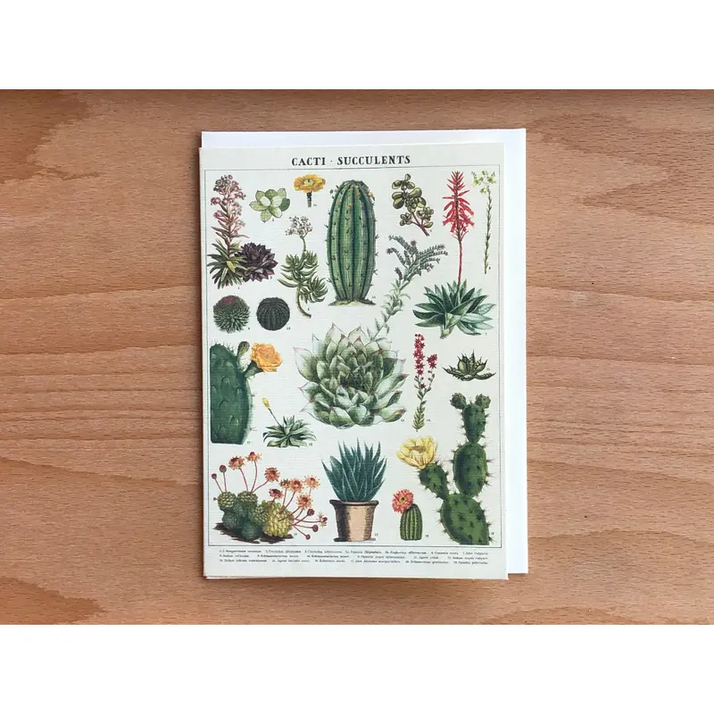 Cacti and Succulents Greeting Card