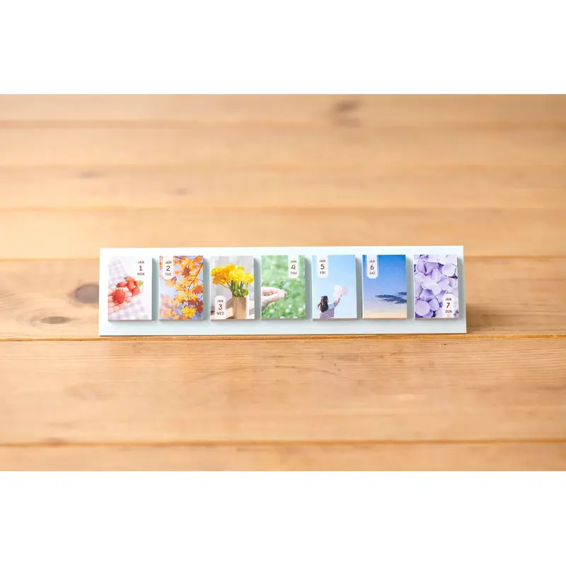 Himekuri Sticky Calendar 2024 - Memory