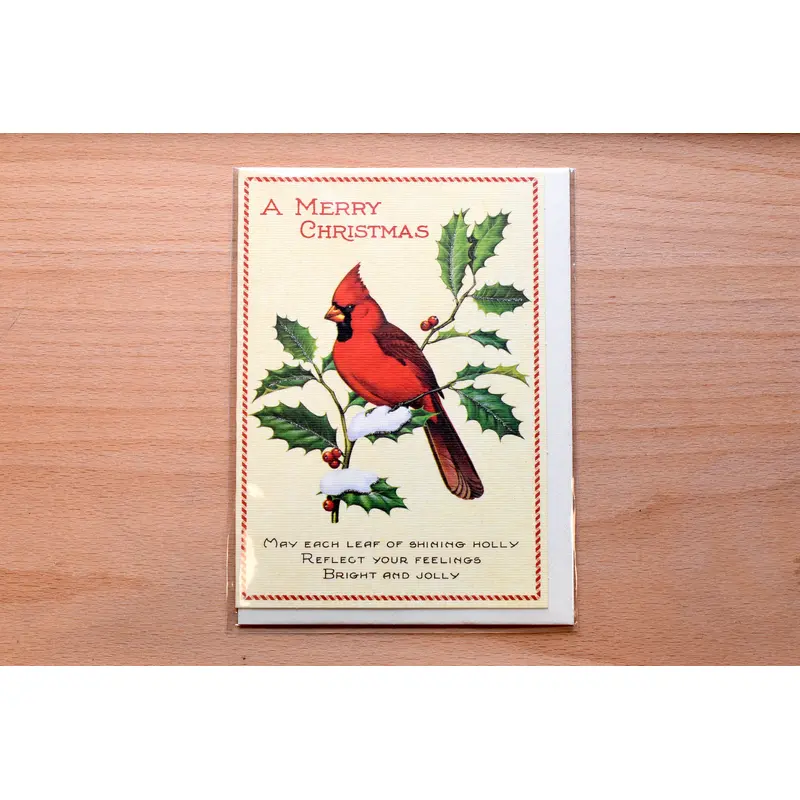 Christmas Bird Greeting Card
