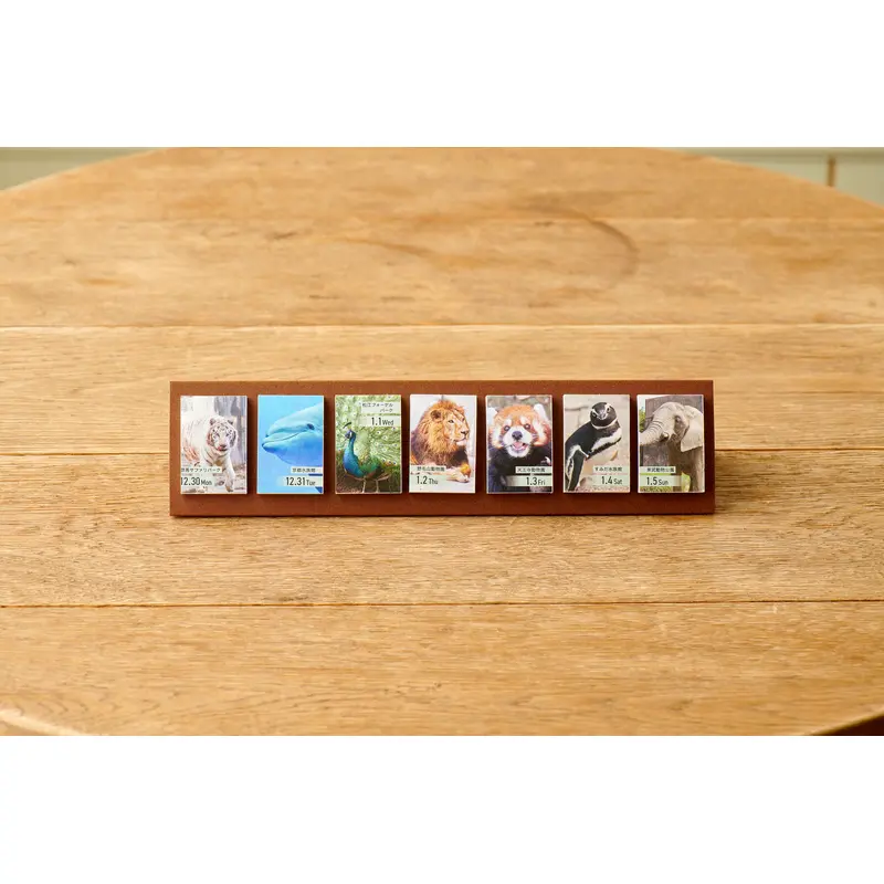 Himekuri Sticky Calendar 2025 - Zoo